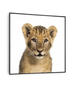 Klarstein Wonderwall Air Art Smart, infravörös hősugárzó, 60 x 60 cm, 350 W, oroszlán