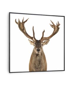 Klarstein Wonderwall Air Art Smart, infravörös hősugárzó, 60 x 60 cm, 350 W, őz